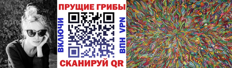 Псилоцибиновые грибы GOLDEN TEACHER  Купить закладки  Вуктыл 